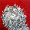 "Table Mountain Fynbos 4"