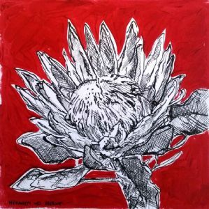 "Table Mountain Fynbos 5"