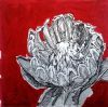 "Table Mountain Fynbos 6"