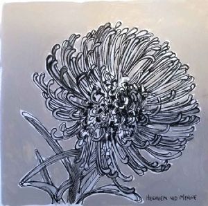 "Table Mountain Fynbos 9"