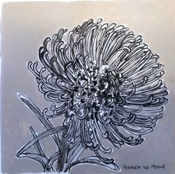 "Table Mountain Fynbos 9"
