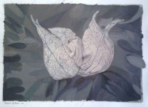 "Creation: Fearfully and Wonderfully Made Ii"