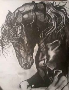"Friesian"