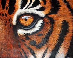"Eye of the Tiger"