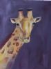 "Giraffe"