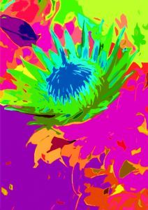 "Protea Flower 1 series 7 - Set 3 of 3"