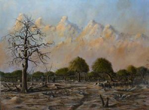 "The Road to Ngweshla"