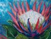 "Special Protea"