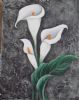 "White Arum Lilies"