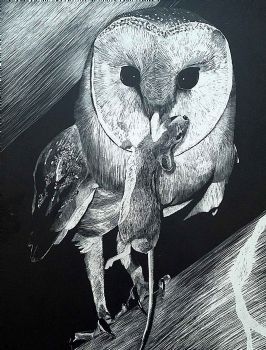 "Owl Hunting"
