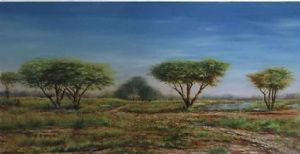 "Landscape of the Bush in Pilanesberg"