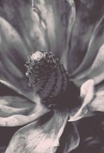 "Essence"