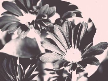 "Fading"