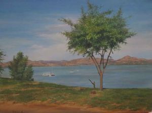 "Cosmos - Hartebeespoort Dam"