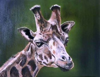 "Giraffe1"