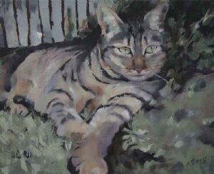 "Cat Siesta"