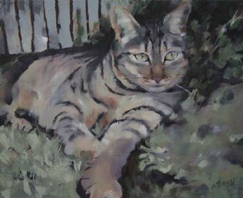"Cat Siesta"