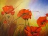 "Poppies in Bloom I"