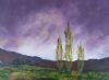 "Purple Sky Poplars"