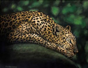 "Leopard"