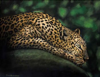 "Leopard"