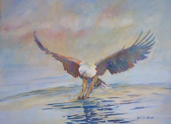 "Fish Eagle"