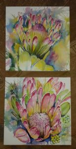 "Beautiful Proteas"