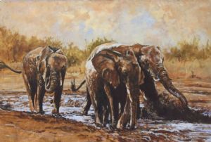 "Elephants Mudbath"