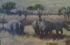 "Rhino in the Bush"