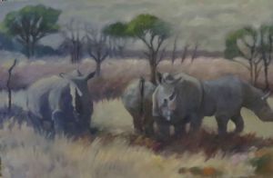 "Rhino in the Bush            "