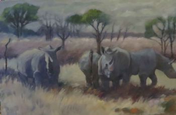 "Rhino in the Bush            "