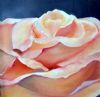 "Peach Rose"