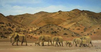 "The Desert Elephants Namibia"