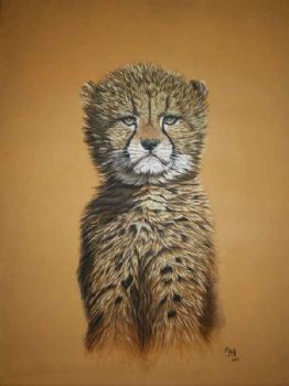 "Aristocat"