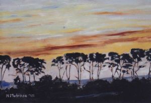 "Bluegum silhouette"