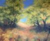 "A Sunday Meander"