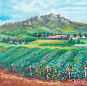 "Stellenbosch Farmland."