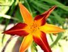 "Secunda Beauty 2"