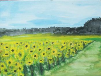 "Sunflower Field"