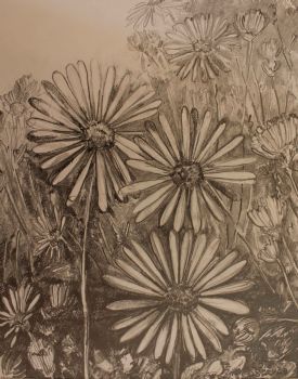 "Daisies"