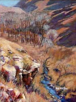 "Brandwag Foothills"