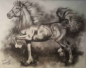 "Apollo "