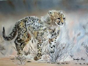 "Cheetah Cub on a Mission"