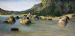 Shallow Waters