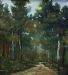 Woodland Walk