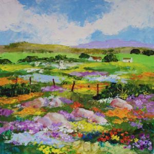 "Floral Explosion in Namaqualand"