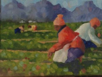 "Strawberry Pickers - Stellenbosch"