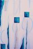 "A Garden of Symmetrical Asymmetrical Proportion"
