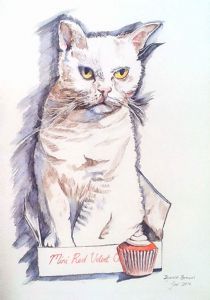 "American Wirehair with Red Velvet Cupcakes"