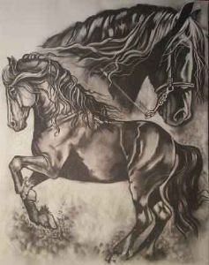 "Zafiro"